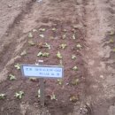 상현농장1 이미지