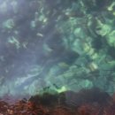 금진2리 이미지