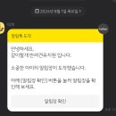 분당애견유치원 같이할개 다녀온 후기
