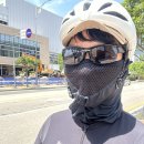 저단33 이미지
