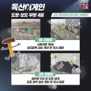 시흥대로17길 이미지