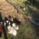 평화열린조산원 이미지