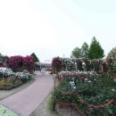 곡성-147 Daum카페