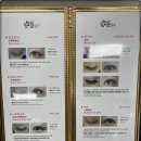 눈썹쟁이 이미지