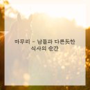 살곶이길 이미지