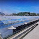 황간공인중개사사무소 이미지