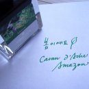 잉크놀이 1 (Caran d'Ache/Sailor/J. Herbin/Pilot) 이미지