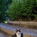 청호인재개발원 이미지