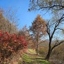 원남저수지 둘레길 | "물결 위에 반짝이는 휴식, 원남저수지 윤슬카페 다녀왔어요!"