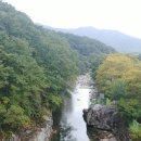 사과향기 캠핑장 이미지