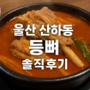 울산 산하동 등뼈 묵은지감자탕 솔직후기