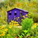 김천대신코아루아파트 이미지