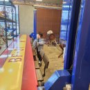 과수원피스 | 제주도 귤 따기 체험 '과수원피스'추천, 가격과 맛 솔직 후기