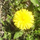 한송농장 이미지