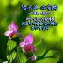 가나다 법칙 이미지