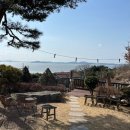 차완 : 강화도 애견동반 정원 티카페