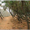 송도보건진료소 이미지