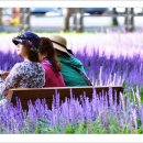 해피타임 이미지