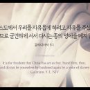 오늘의 &#39;영어성경 사진&#39;(373강) “자유(自由)”(갈라디아서 5장 1절) 이미지