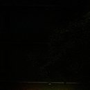 뉴욕대학병원약국 이미지