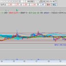 (주)비올 이미지