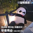 우후죽순 모란역점 | 팬더가 보고플땐 애견동반 가능한 모란 가볼만한곳 저렴한 술맛집 우후죽순 내돈내산 후기