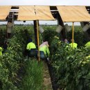 비자농장 이미지