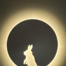보정동 카페거리 사거리(안경점) | 보정동 술집 묘묘 두번째 방문후기~!