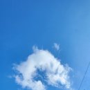 춘양약국 이미지