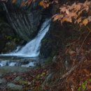 사포산촌생태마을 이미지