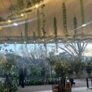 교수회관 화장실 | [웨딩홀투어] 서울대교수회관 3월 야외 예식 투어 후기 (atm 위치, 화장실 위치)