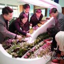 채광농장 이미지