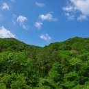 벌 민박 이미지