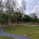 햄릿과 올리브 이미지