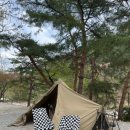 삼산야영장 이미지