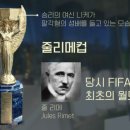 메가트로피 이미지