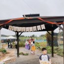 길형농장 | 시흥 온동물체험농장 후기｜입장료·농작물체험 예약·주차·찾아가는길 정리