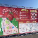 신하자치센터 화장실 | [완주 삼례 딸기대축제] 사람 많고 볼거리도 많던 2026 삼례 딸기축제 3/7 토요일 방문 후기 주차정보 등