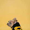 더라인공인중개사사무소 이미지