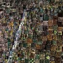 개인(이관우) 이미지