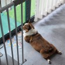 앙글몽글 이미지