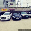 시네마1번가 이미지