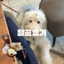 달곰명가