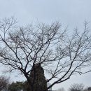 상동호수공원 이미지