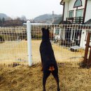 연이가 이미지