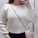 사랑스러운 하트백 시오모모 모네뜨백 로제크렘 연핑크 내돈내산