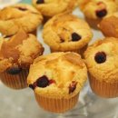 커피스튜디오
