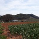 삼봉통신 이미지