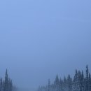 YT목장 | [🇨🇦밴쿠버겨울여행]Day4_화이트호스_baked cafe_sports experts_아크테릭스_캐나다구스 쇼핑_뷰잉밴치