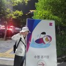 제100회 전국체육대회 결승 | 부산 전국체전 수영 자원봉사 후기 (경기 4,5,6일차)